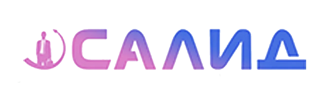 САЛИД логотип